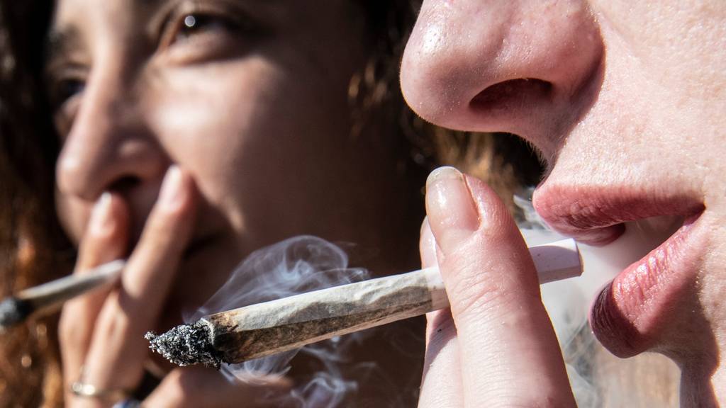 Nur Personen, die bereits Cannabis konsumieren, dürften sich an der Studie beteiligen.
