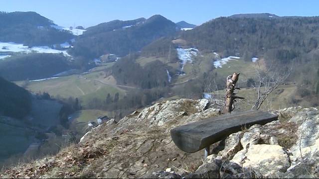 34`000-Franken-Strafe für Föhren-Fäller