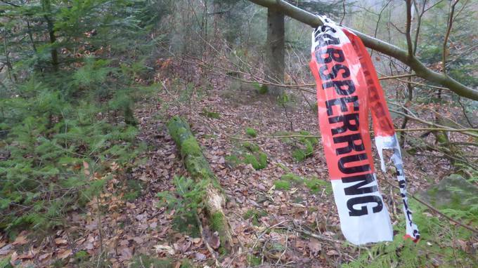 Schädel-Fund: Stammt er von vermisster Mutter aus Kleindöttingen?