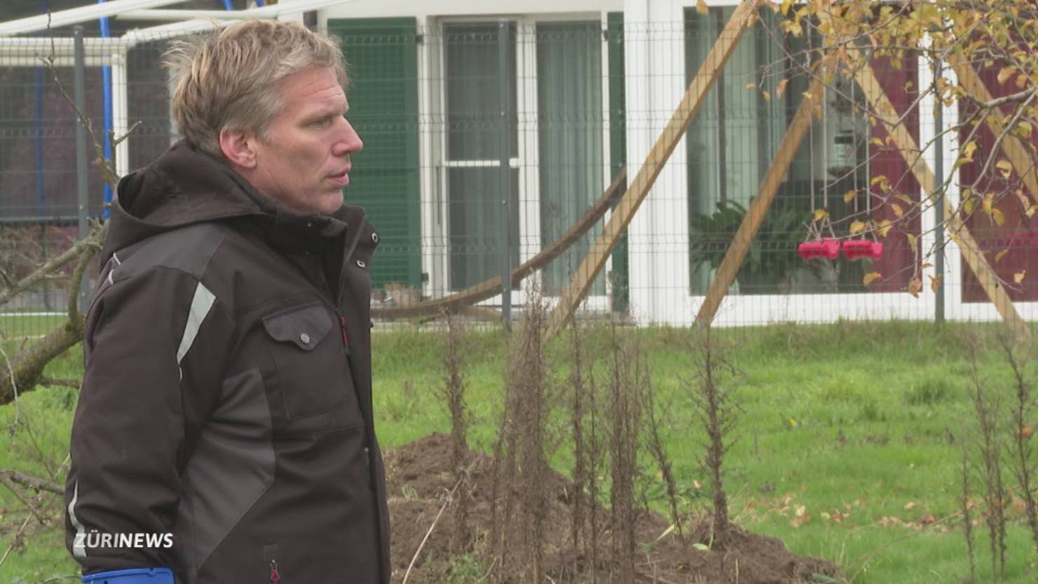 Hühner dürfen nicht mehr raus legen aber trotzdem «Freilandeier» ArgoviaToday