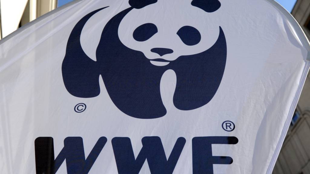 ARCHIV - Das WWF-Logo ist auf einem Aufsteller zu sehen. Foto: Jens Kalaene/ZB/dpa