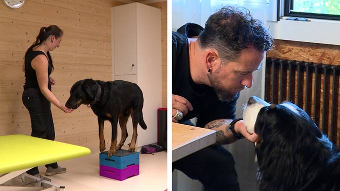 Rundum-Service / Prominenter Hundehalter 