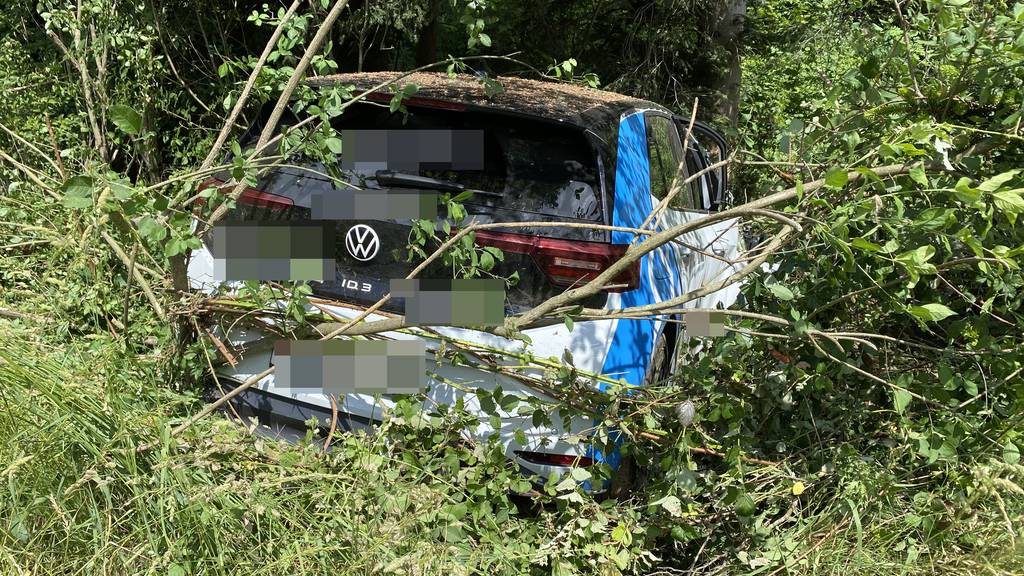 Autofahrer durchbricht nach Selbstunfall Wildschutzzaun auf A1