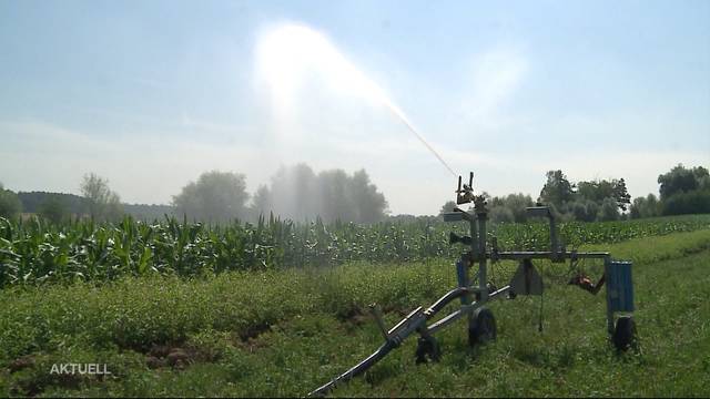 Kein Wasser mehr für Aargauer Bauern