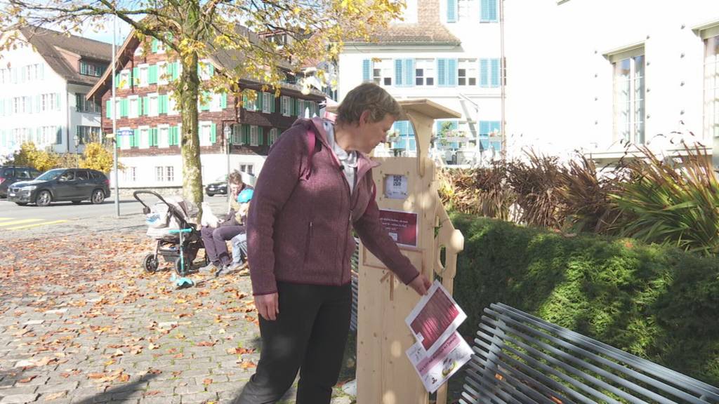 Zentralschweizer Demenz-Angehörige sollen besser unterstützt werden