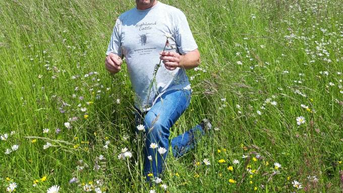 Die schönste Blumenwiese im Thurgau