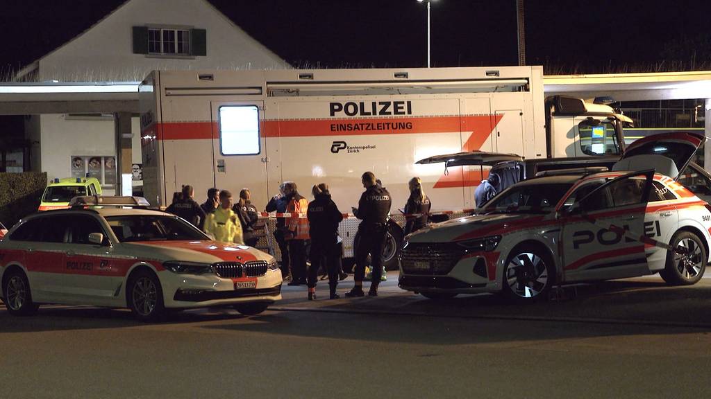 Sondereinheit rückt wegen psychisch auffälligem Mann in Oetwil am See aus