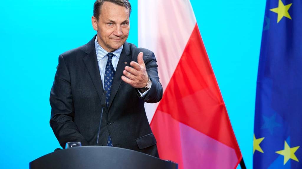 ARCHIV - Radoslaw Sikorski, Außenminister von Polen, spricht im Auswärtigen Amt. Foto: Jörg Carstensen/dpa