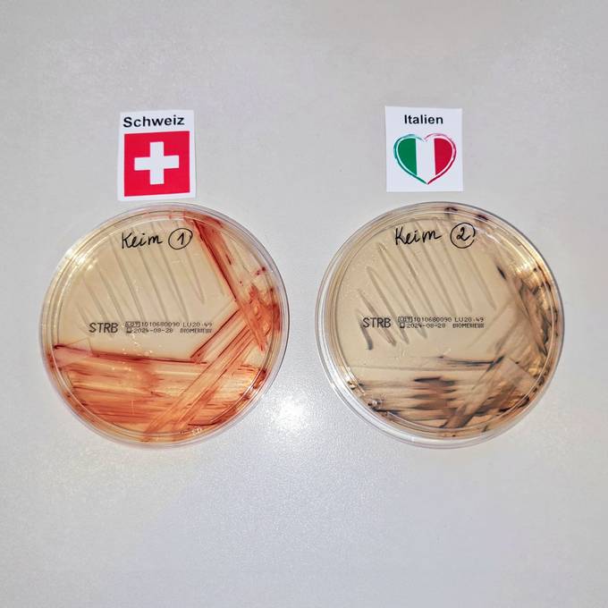 Italien oder die Schweiz – welche Orakel-Bakterien wachsen im KSB-Labor mehr?