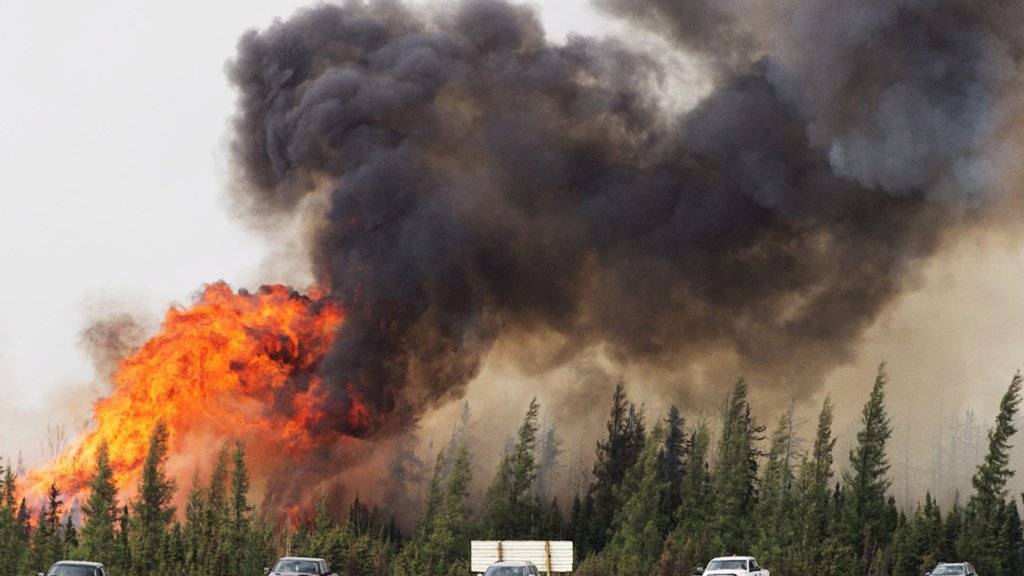 Die grossen Waldbrände in der kanadischen Provinz Alberta haben zur Evakuierung der Stadt Fort McMurray geführt, die Ölförderanlagen wurden aber kaum beeinträchtigt, so dass der Betrieb schon bald wieder aufgenommen werden soll. (Archivbild)