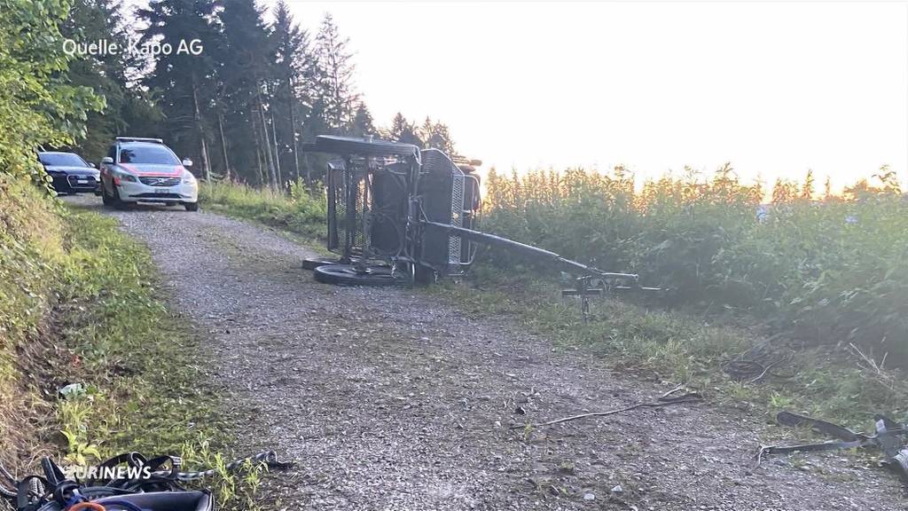 Kutschenunfall in Brittnau fordert fünf Verletzte