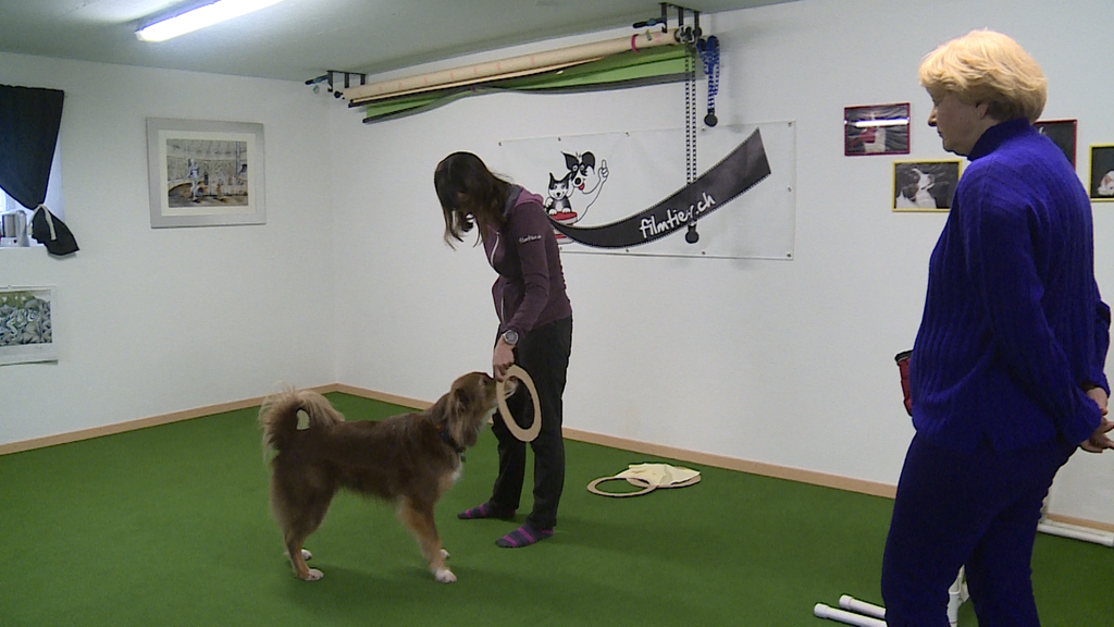  «Kleiderkurs» für Hund und Halter