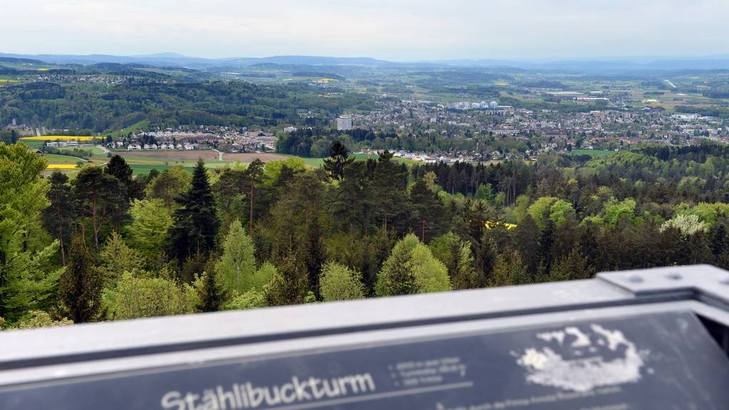 Die Aussicht vom Stählibuckturm reicht von Voralberg im Osten bis zu den Berner Alpen im Westen.