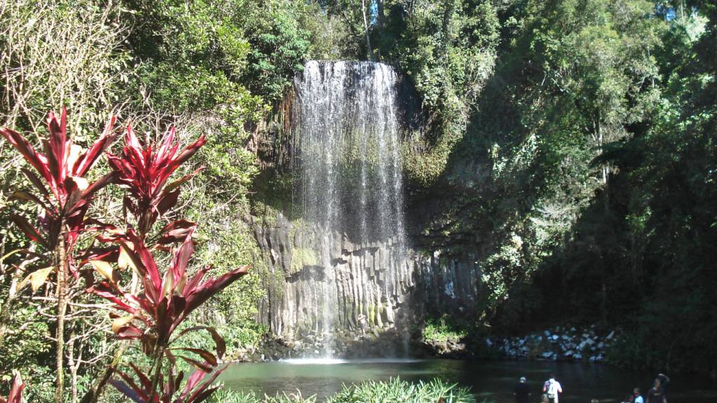 Die berühmten Millaa Millaa Falls im tropischen Bundesstaat Queensland. Foto: Carola Frentzen/dpa