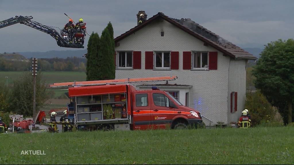 Vor Brand Wespennest bekämpft?