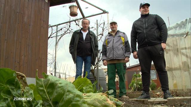 ZSC zahlt an Schrebergarten-Räumung mit