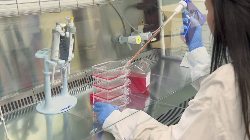 Meilenstein: Koryphäe der Gehirnforschung eröffnet Institut in St.Gallen