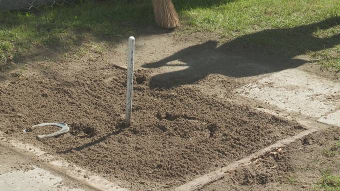 Hufeisenklub86 St.Gallen ohne Trainingsplatz