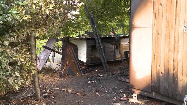 Feuerwehr rettet Häsli aus Gartenhaus-Flammen