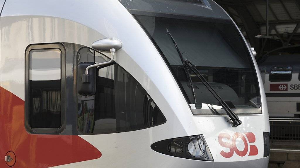 Der Zugbauer Stadler Rail kann 55 Züge seiner Flirt-Reihe nach Schleswig Holstein liefern. Im Bild ein Flirt-Zug der Südostbahn