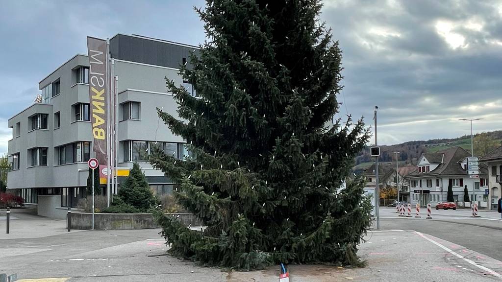Weihnachtsbaum mit Solaranlage in Münsingen.