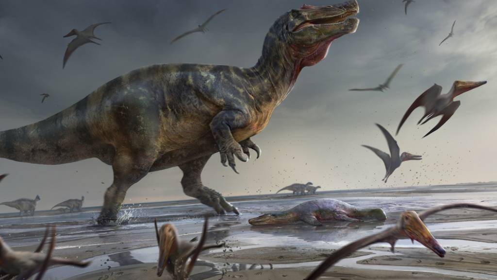 Forscher finden Überreste des grössten europäischen Raubdinosauriers