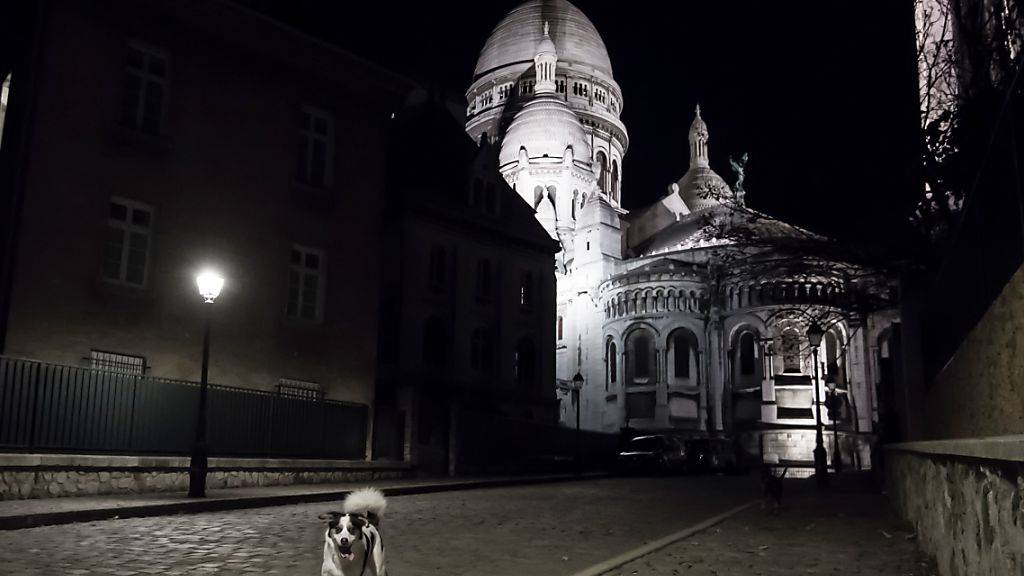 Hunde laufen eine menschleere Straße in der Nähe der Basilika Sacre-Coeur entlang. Aufgrund der Corona-Pandemie befindet sich Paris im Lockdown. Foto: Alain Jocard/AFP/dpa