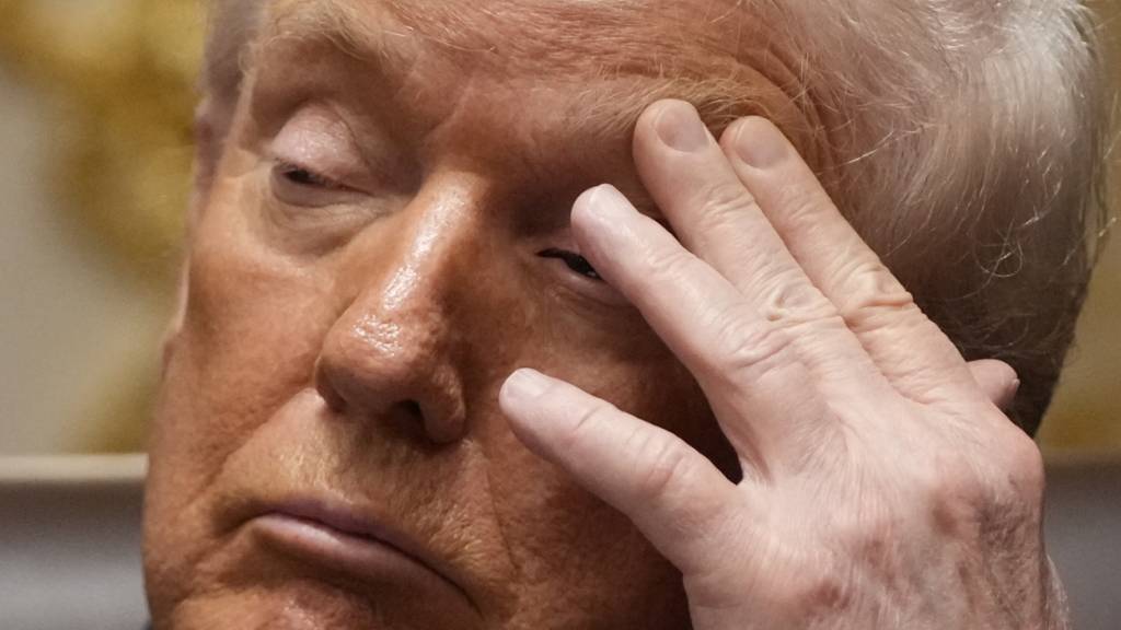 US-Präsident Donald Trump nimmt an einer Kabinettssitzung im Weißen Haus teil. Foto: Julia Demaree Nikhinson/AP/dpa