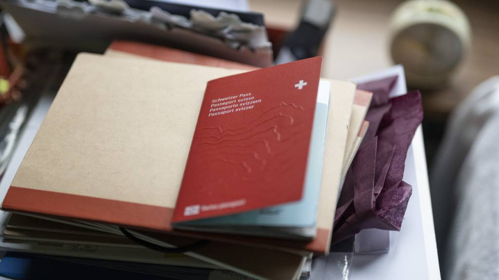 Einbürgerungen sollen in der Stadt Luzern weniger kosten. (Symbolbild)