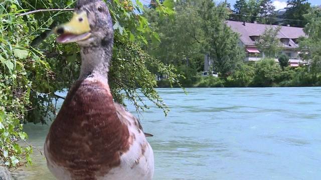 Vorsicht beim Baden!