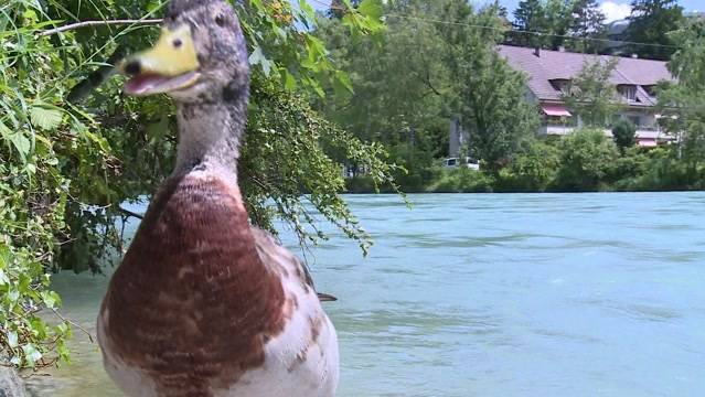 Vorsicht beim Baden!