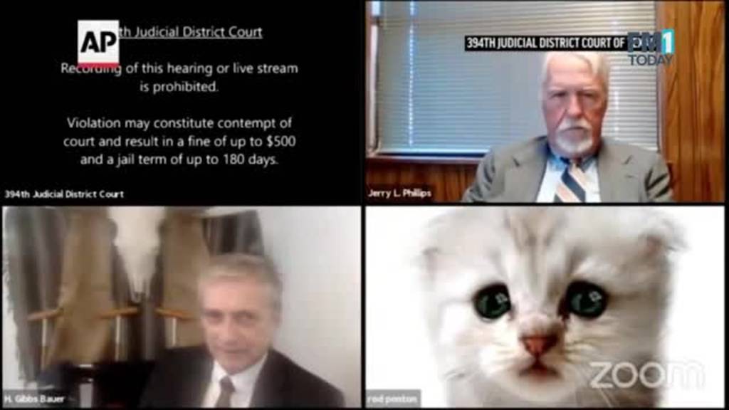 Während Verhandlung: Anwalt hat Mühe mit dem Zoom-Filter
