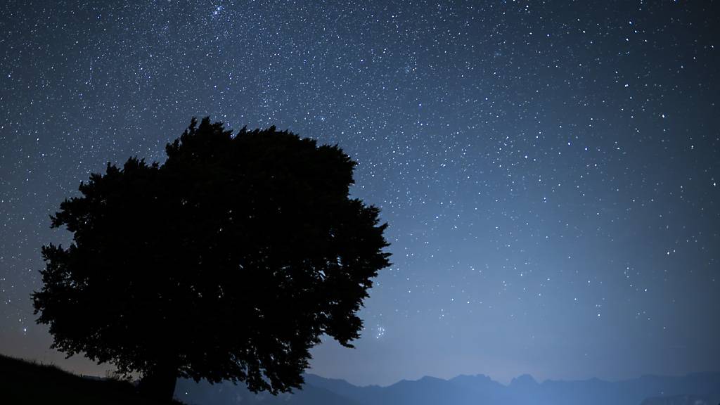 Sternschnuppen des Leonidenstroms am Schweizer Nachthimmel