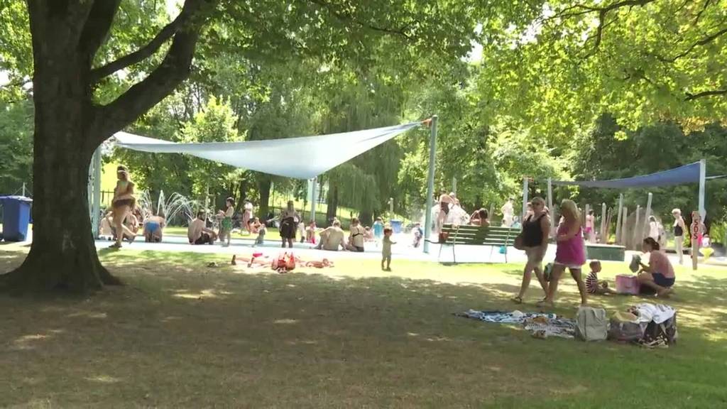 Linke fordern Gratis-Badientritte für Kinder