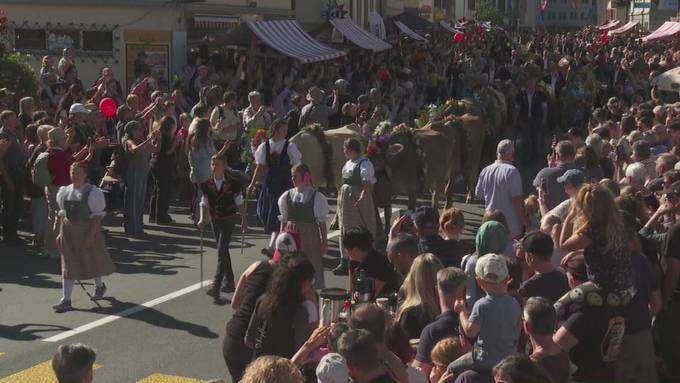 Teaser Kultur