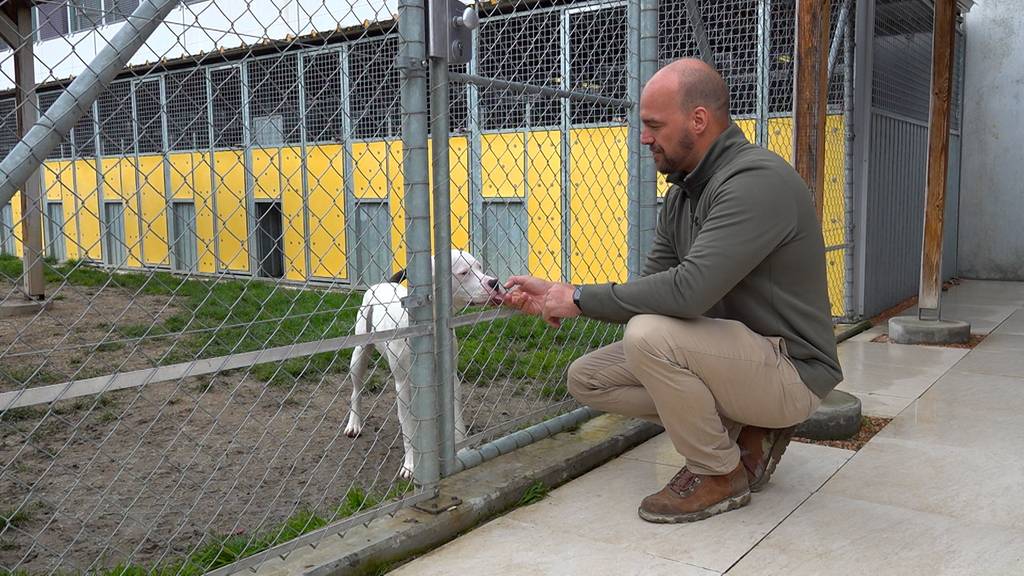 Auf dem Weg zur Tierschutz-Stiftung