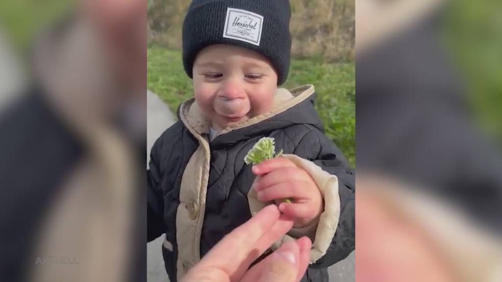 Für krankes Kind: Ex EHC Olten-Spieler gerührt über  Spenden