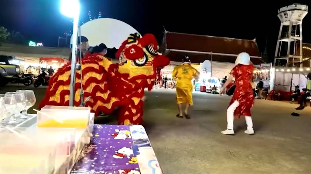 Als Löwe getarnt: Verkleidete Polizisten verhaften Einbrecher