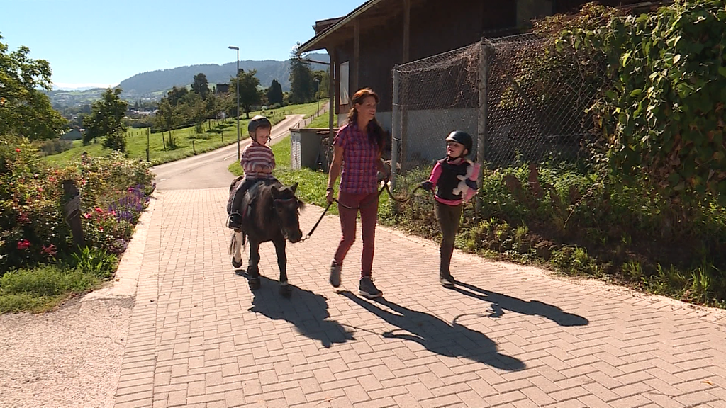 Kleine Ponyfans