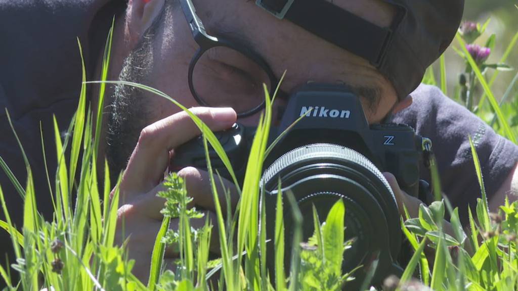 Tierfilmer enthüllt Mythen um Insekten in Kinofilmen