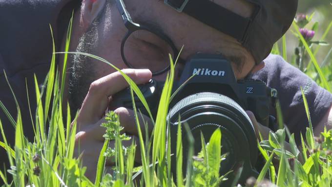 Tierfilmer enthüllt Mythen um Insekten in Kinofilmen