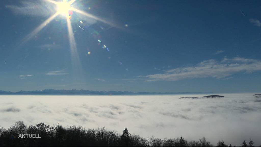 Flucht vor dem Nebel