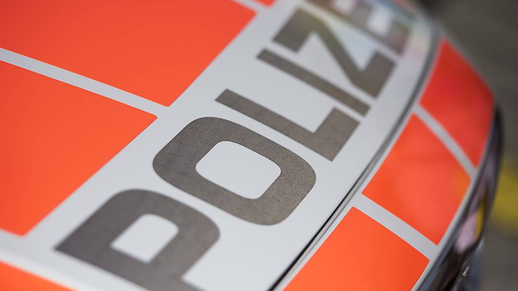 Die Luzerner Polizei war mit mehreren Patrouillen vor Ort. (Symbolbild)