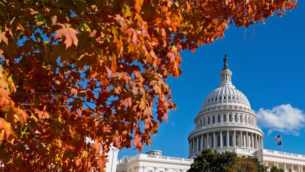 dpatopbilder - Das Kapitol in Washington. Foto: J. Scott Applewhite/AP/dpa