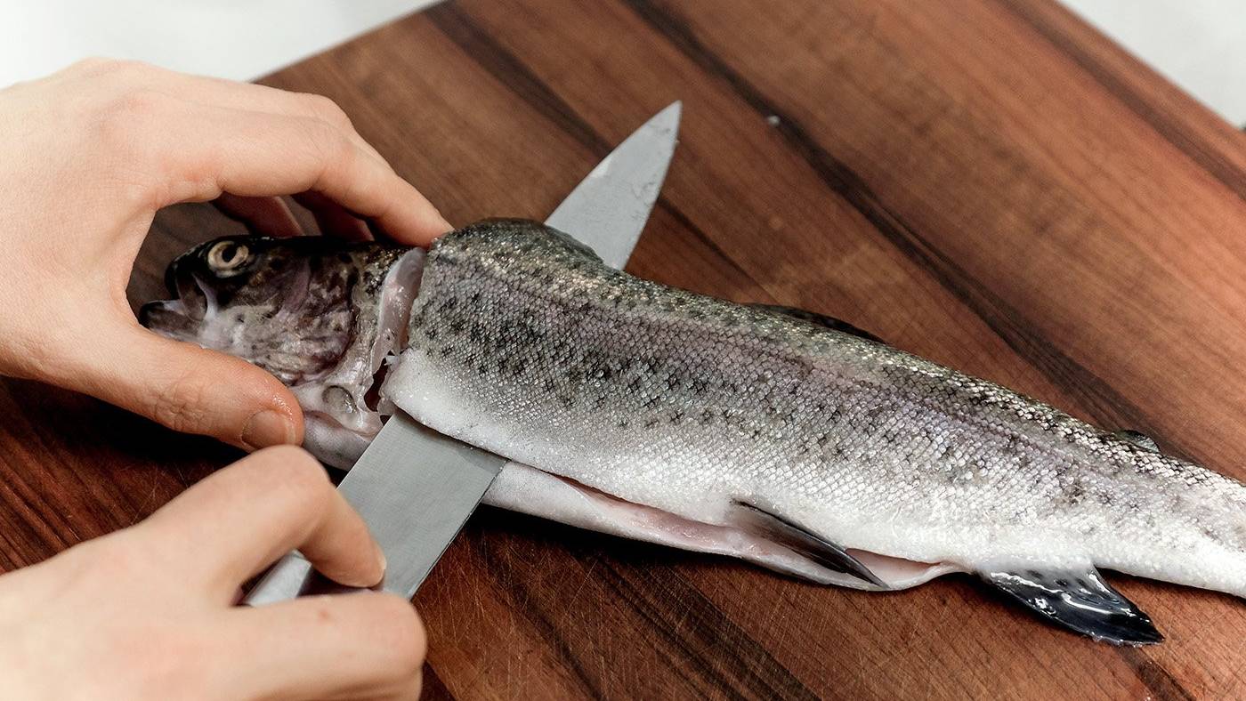 Kochen Wildeisen Schnelle Küche Fischfilet mit Tomaten Kräuter Kruste