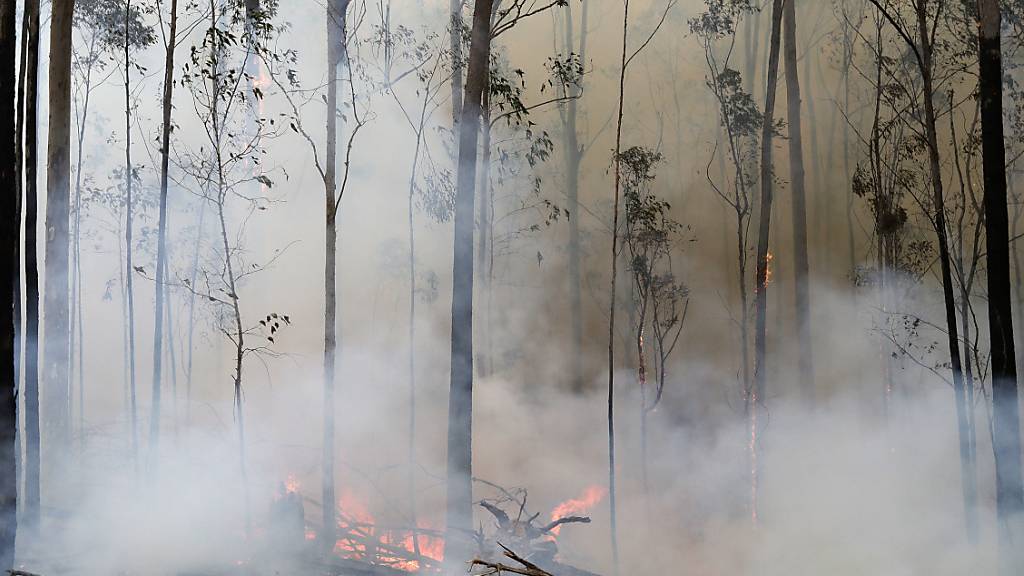 Die Buschfeuer, die seit Monaten in Australien wüten, haben nun auch die Hauptstadt Canberra erreicht. (Archivbild)