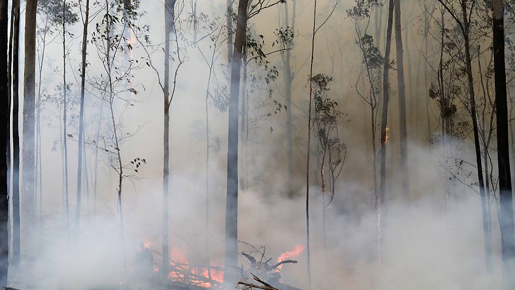 Die Buschfeuer, die seit Monaten in Australien wüten, haben nun auch die Hauptstadt Canberra erreicht. (Archivbild)