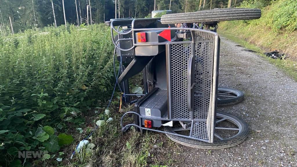 Tragischer Kutschen-Unfall: Sechs Personen verletzt und ein Pferd tot