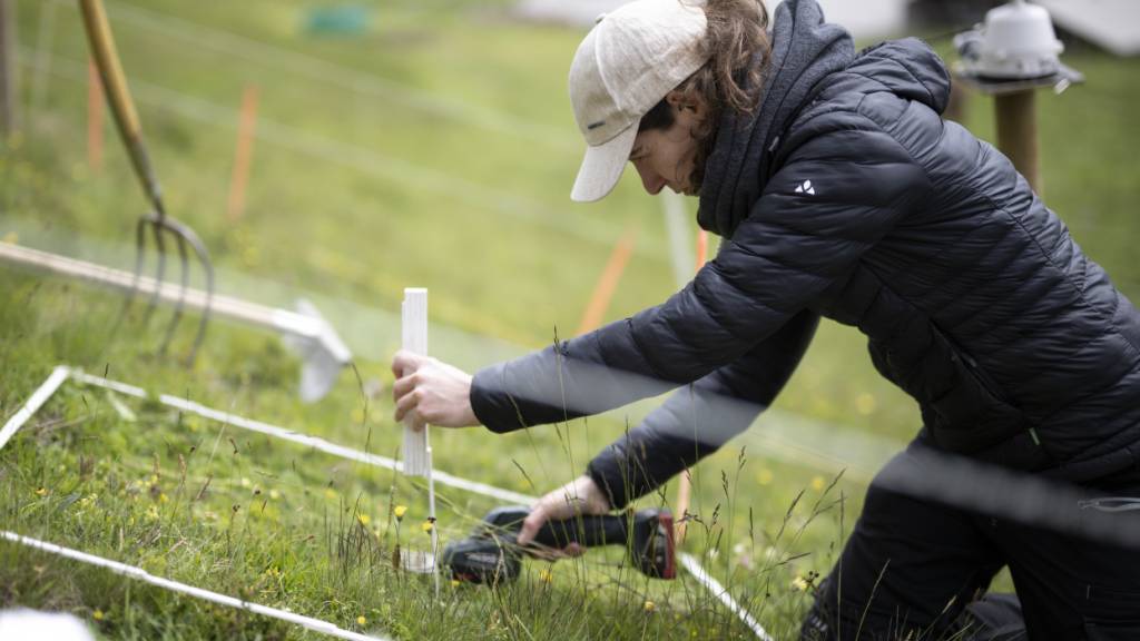 Forschungsinstitut Agroscope streicht 58 Vollzeitstellen