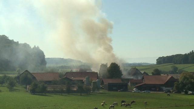 Traktor löste Brand aus